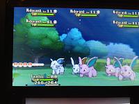 Shiny Nidoran♂ 2.JPG