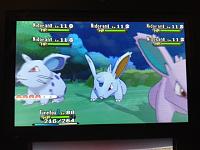 Shiny Nidoran♂ 3.JPG
