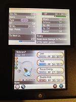 Shiny Nidoran♂ 4.JPG