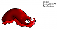 Chition.png