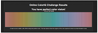 color vision test.png