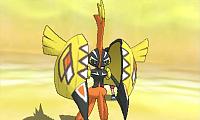 tapu_koko.jpg