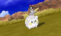 togedemaru.jpg