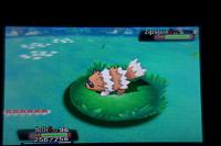 Shiny Zigzagoon.jpg