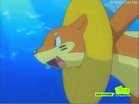 Buizel Inflatable coller.jpg
