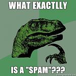 What exactlly is a "SPAM"???