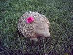 Shaymin-esque lawn decoration