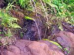 Water draining into a small pool along the Kalalau Trail