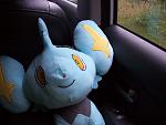 Shinx, put on your seat belt!