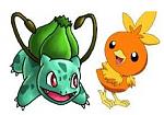 bulbasaur torchic