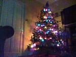 This is my Christmas Tree. Sorry about the quality of the picture, but the only camera I had access to was my dad's webcam. Getting a picture of anything in my house is unbelievably hard.