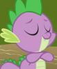 Spike, the only male recurring character in My Little Pony.