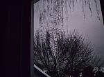 Another picture I took back in 2008. These icicles were hanging outside my window.
