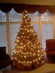 The 13-foot Christmas tree