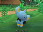 Itchy Shinx