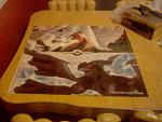 A Japanese 2 player TCG play mat viewed from Zekrom side.