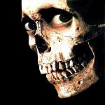 Evil Dead 2 Skull