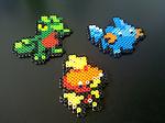 Gen 3 Starters