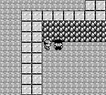 Pokemon Green (U) [p1][!] 01