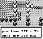Pokemon Green (U) [p1][!] 05