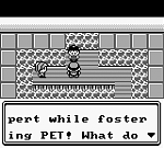 Pokemon Green (U) [p1][!] 61