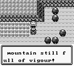 Pokemon Green (U) [p1][!] 05