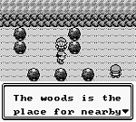 Pokemon Green (U) [p1][!] 13