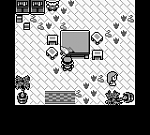 Pokemon Green (U) [p1][!] 41
