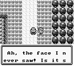 Pokemon Green (U) [p1][!] 10