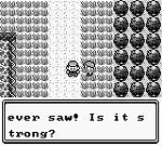 Pokemon Green (U) [p1][!] 11