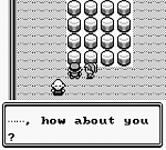 Pokemon Green (U) [p1][!] 13