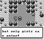 Pokemon Green (U) [p1][!] 12