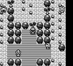 Pokemon Green (U) [p1][!] 15