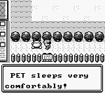 Pokemon Green (U) [p1][!] 02