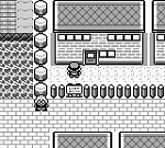Pokemon Green (U) [p1][!] 14