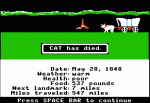 Cat has died in Oregon Trail.