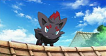 Zorua in the 13th movie