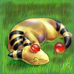 Ampharos nap