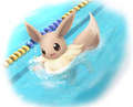 eevee cutest swim