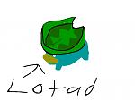 lotad drawing
