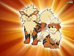 Growlithe & Arcanine