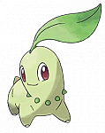 Chikorita