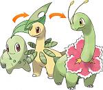 Chikorita Bayleef Meganium
