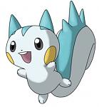 Pachirisu