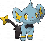 Shinx