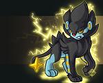 Luxray Shadow