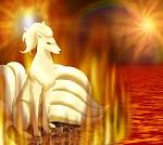 Ninetales, The Most Beautiful Pokemon!!!