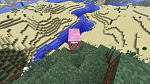 Naturally spawned pink sheep