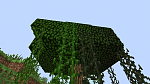 A tree that grew in both Swamp and Plains biomes with the color gradient apparent.
