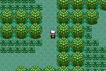 Pokemon Emerald 01